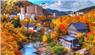 Du Lịch Hokkaido Ngắm Mùa Thu Lá Đỏ Nhật Bản Vào Mùa Thu